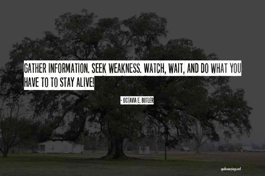 Yizhak Elyashiv Quotes By Octavia E. Butler Yizhak Elyashiv Quotes By Octavia E. Butler