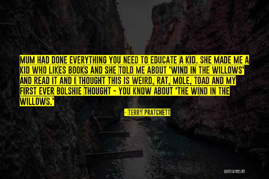Yk M Tekel Beylikd Z Quotes By Terry Pratchett