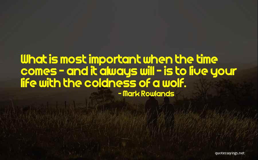 Ylingyling Quotes By Mark Rowlands Ylingyling Quotes By Mark Rowlands