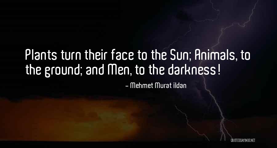 Ylvisaker Palm Quotes By Mehmet Murat Ildan Ylvisaker Palm Quotes By Mehmet Murat Ildan