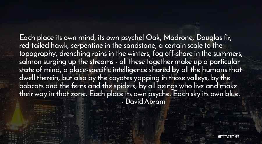 Ymate Quotes By David Abram Ymate Quotes By David Abram