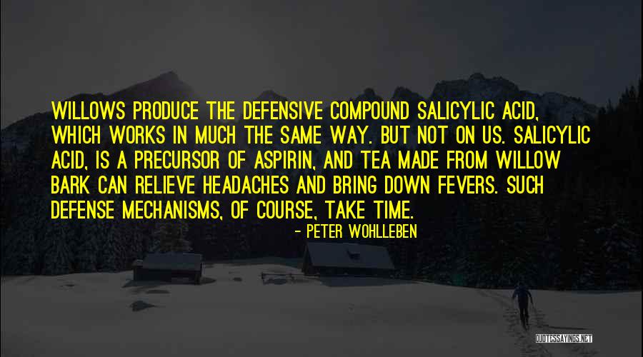 Ynessa Rhame Quotes By Peter Wohlleben Ynessa Rhame Quotes By Peter Wohlleben