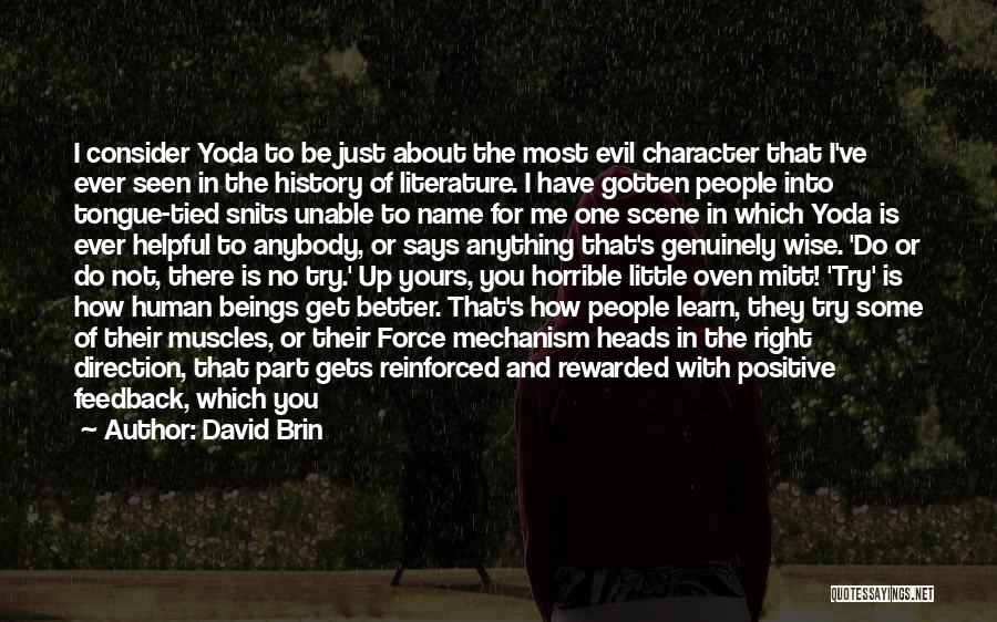 Yoda's Quotes By David Brin