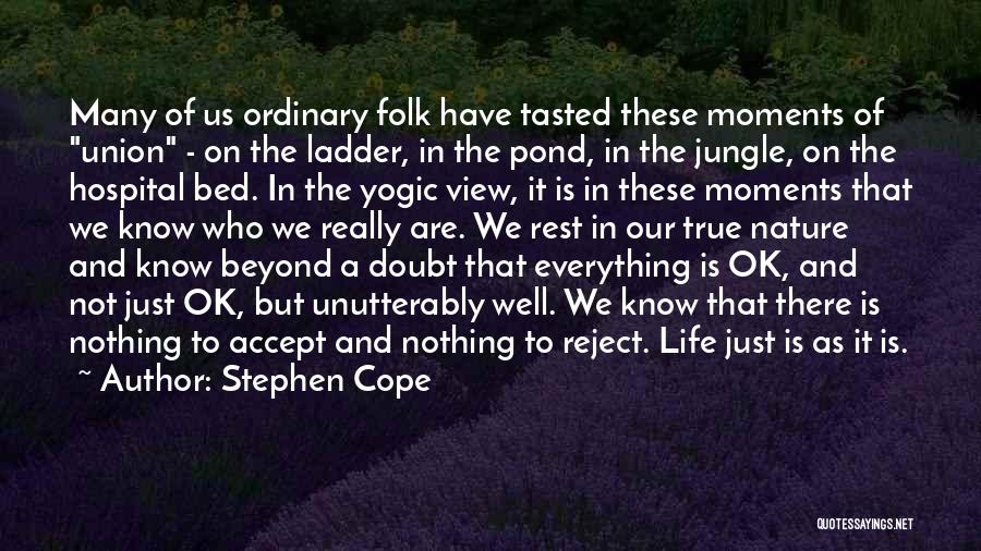 Yoga And Nature Quotes By Stephen Cope