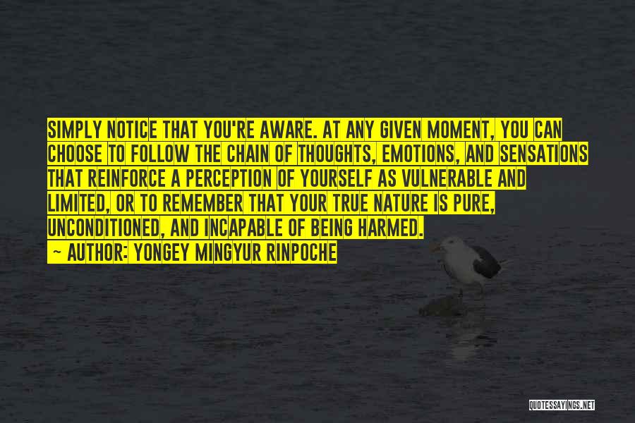 Yoga And Nature Quotes By Yongey Mingyur Rinpoche