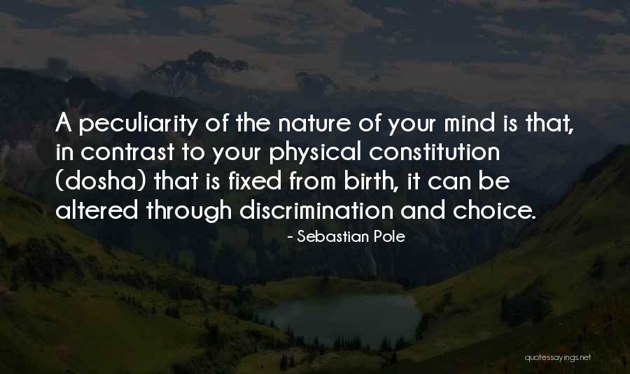 Yoga And Vegetarianism Quotes By Sebastian Pole