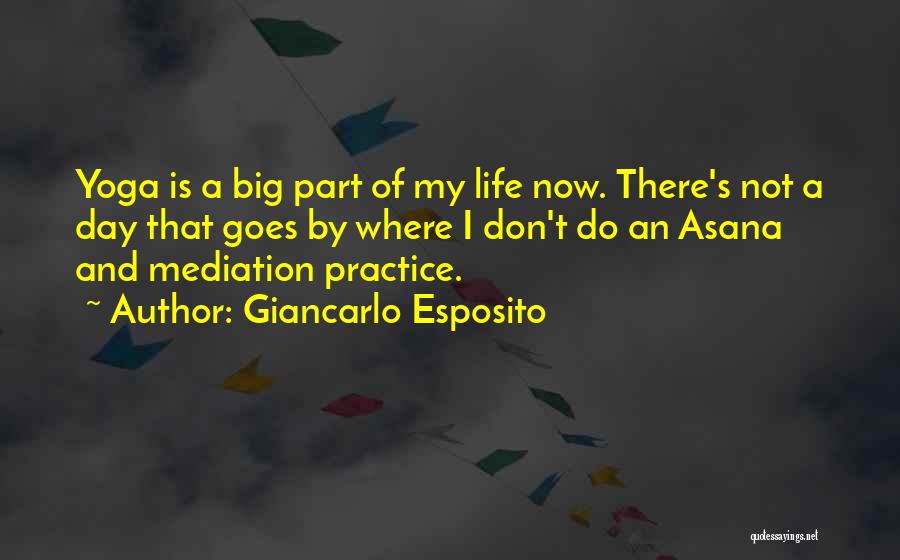 Yoga Asana Quotes By Giancarlo Esposito