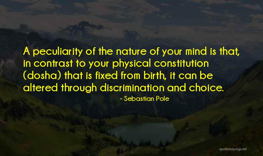 Yoga In Nature Quotes By Sebastian Pole Yoga In Nature Quotes By Sebastian Pole