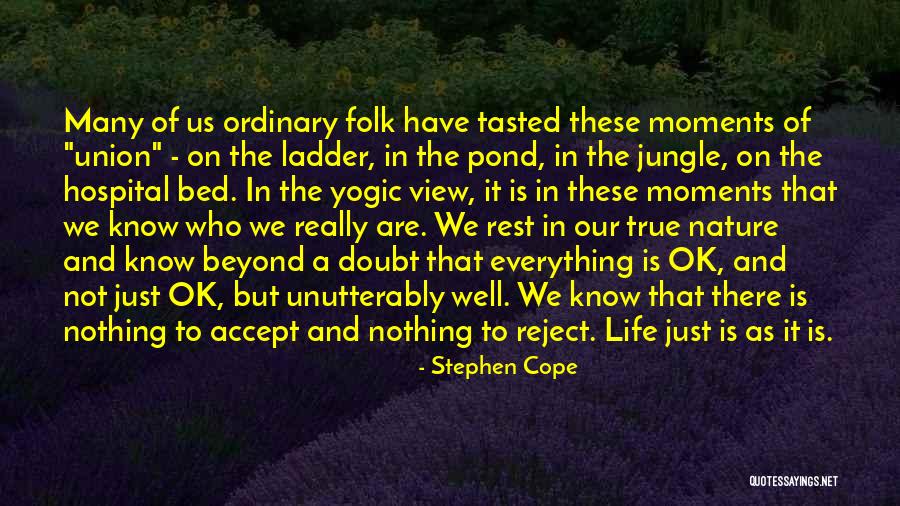 Yoga In Nature Quotes By Stephen Cope Yoga In Nature Quotes By Stephen Cope