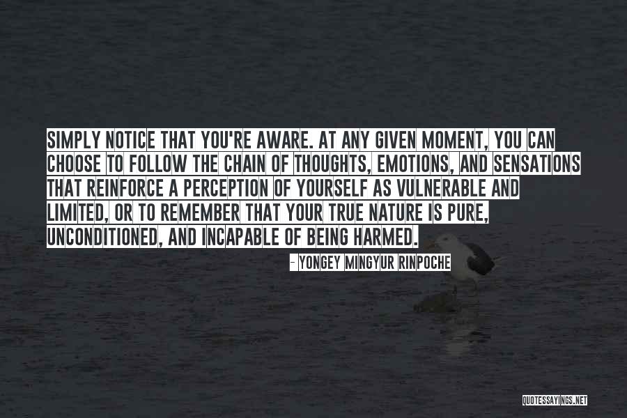 Yoga In Nature Quotes By Yongey Mingyur Rinpoche Yoga In Nature Quotes By Yongey Mingyur Rinpoche