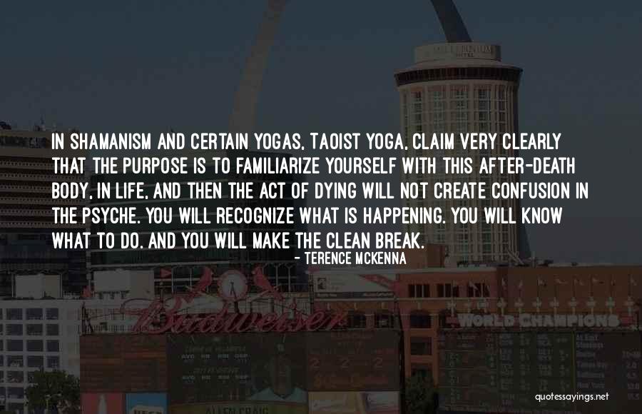 Yoga Life Quotes By Terence McKenna