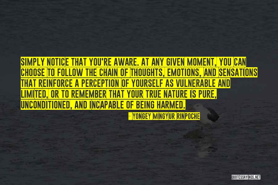 Yoga Meditation Quotes By Yongey Mingyur Rinpoche