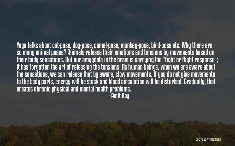 Yoga With Dog Quotes By Amit Ray Yoga With Dog Quotes By Amit Ray