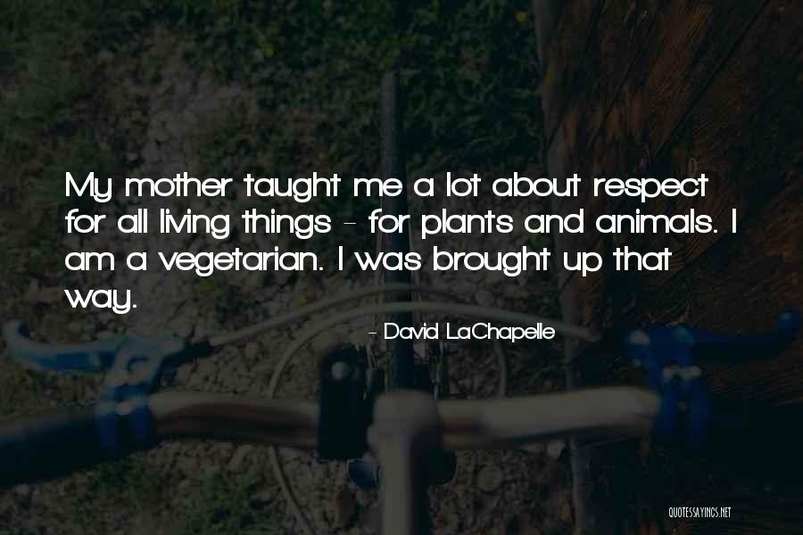 Yogi Bear Picnic Quotes By David LaChapelle Yogi Bear Picnic Quotes By David LaChapelle