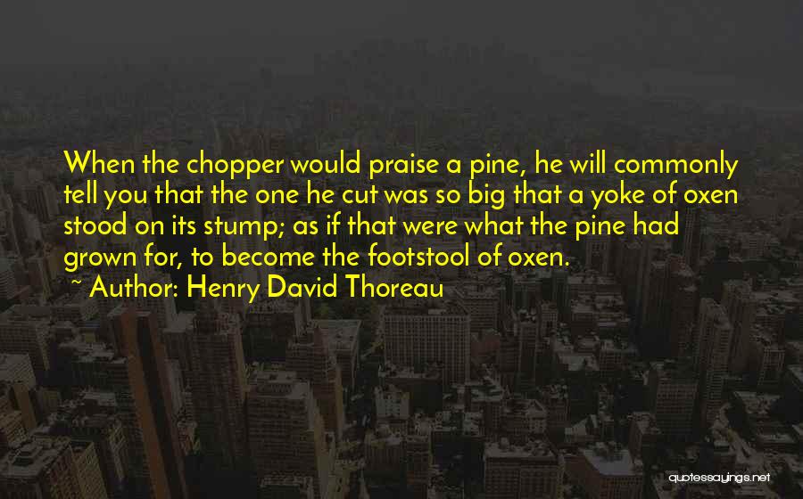 Yoke Quotes By Henry David Thoreau