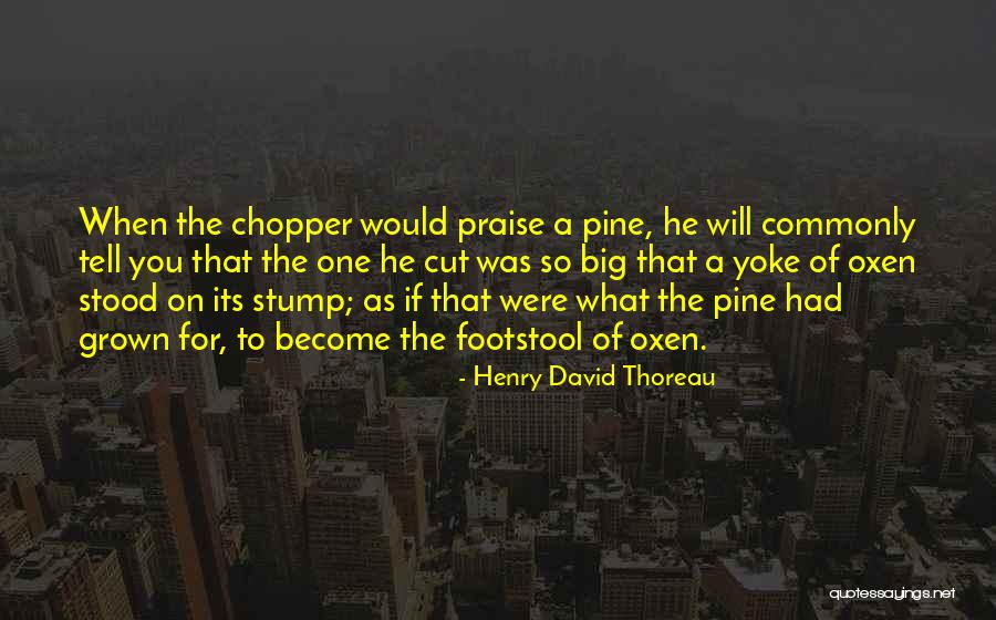 Yoke Quotes By Henry David Thoreau