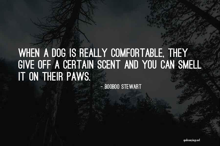 Yoneya Mini Quotes By Booboo Stewart Yoneya Mini Quotes By Booboo Stewart