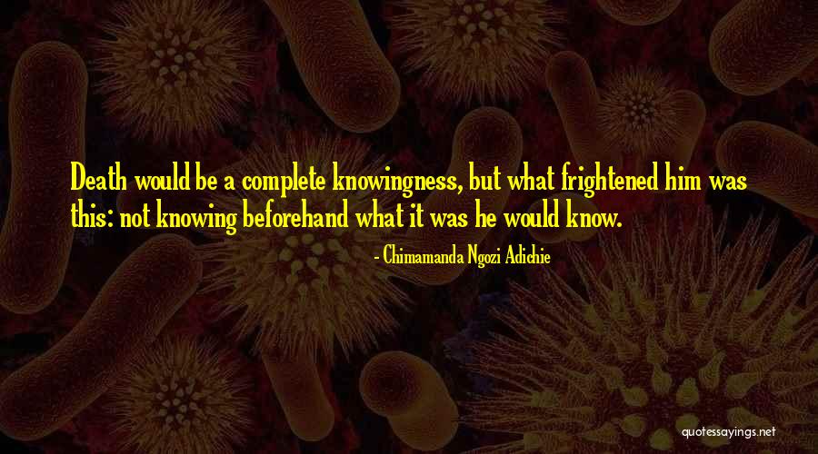 Yong Zhang Quotes By Chimamanda Ngozi Adichie Yong Zhang Quotes By Chimamanda Ngozi Adichie