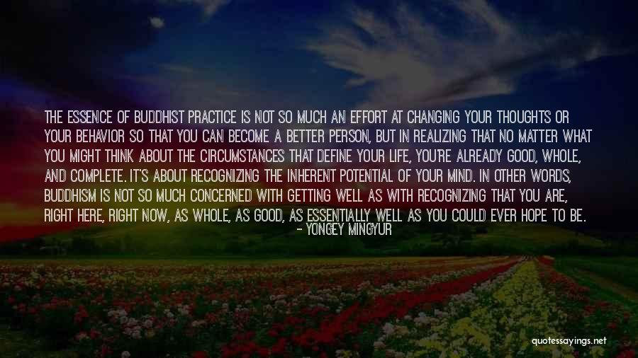 Yongey Mingyur Quotes 1481401 Yongey Mingyur Quotes 1481401