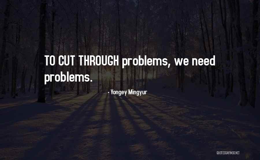 Yongey Mingyur Quotes 1580221