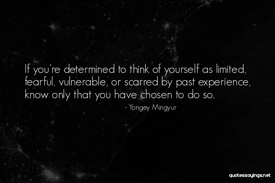 Yongey Mingyur Quotes 2023311 Yongey Mingyur Quotes 2023311