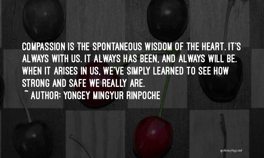 Yongey Mingyur Rinpoche Quotes 1099426