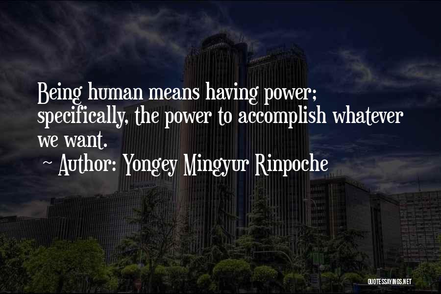 Yongey Mingyur Rinpoche Quotes 1335482