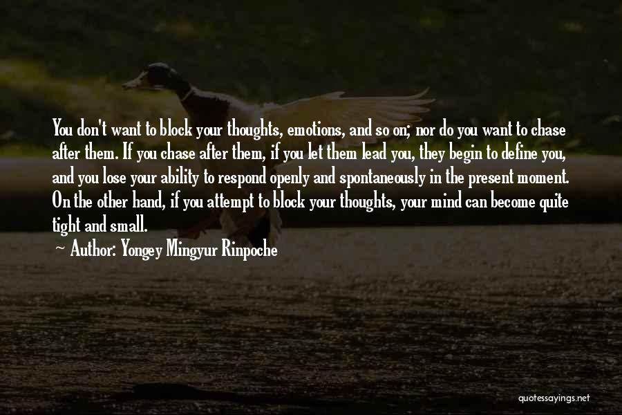 Yongey Mingyur Rinpoche Quotes 141310