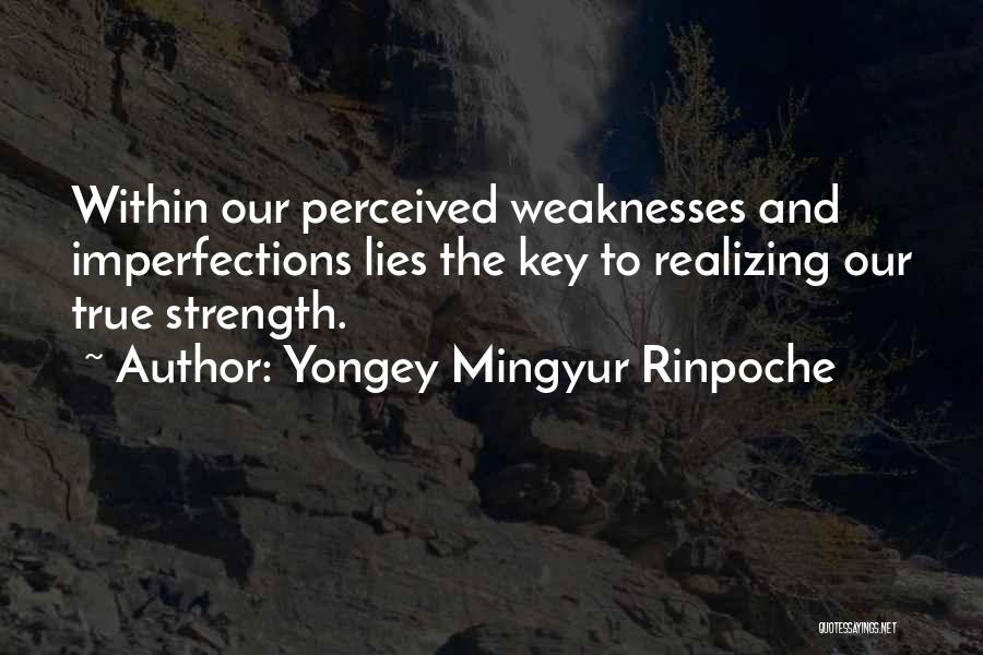 Yongey Mingyur Rinpoche Quotes 1422644