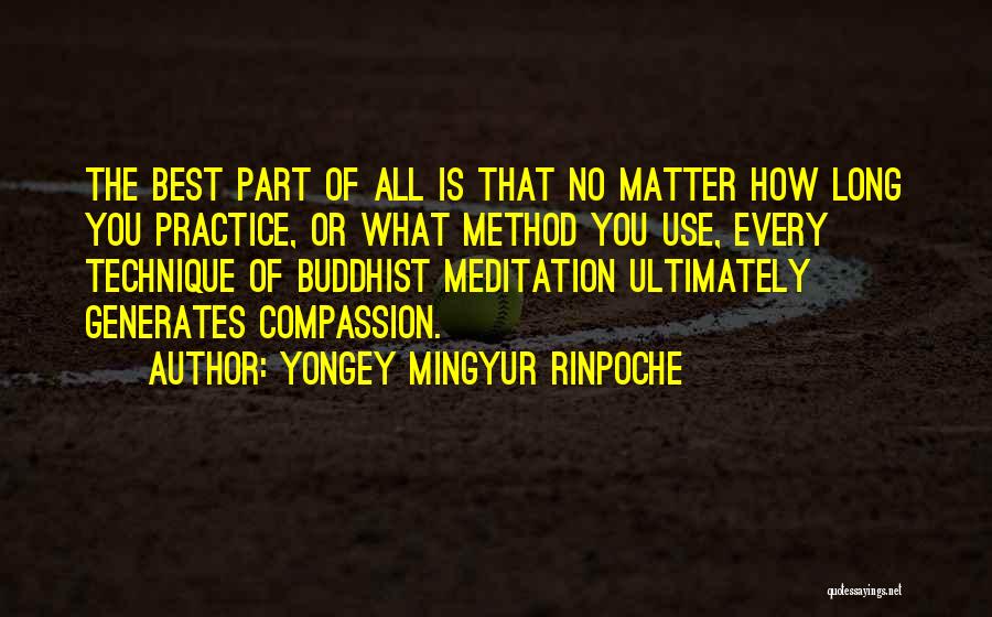 Yongey Mingyur Rinpoche Quotes 1575995