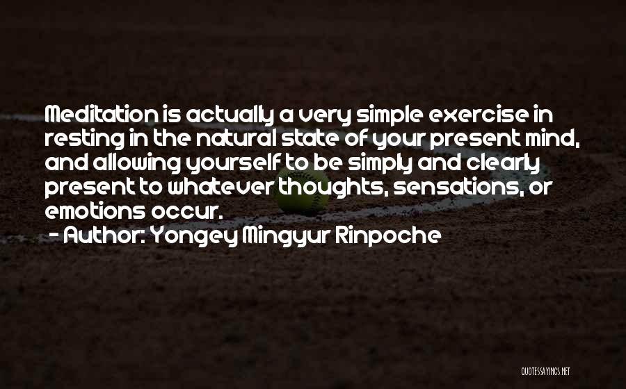 Yongey Mingyur Rinpoche Quotes 1745090