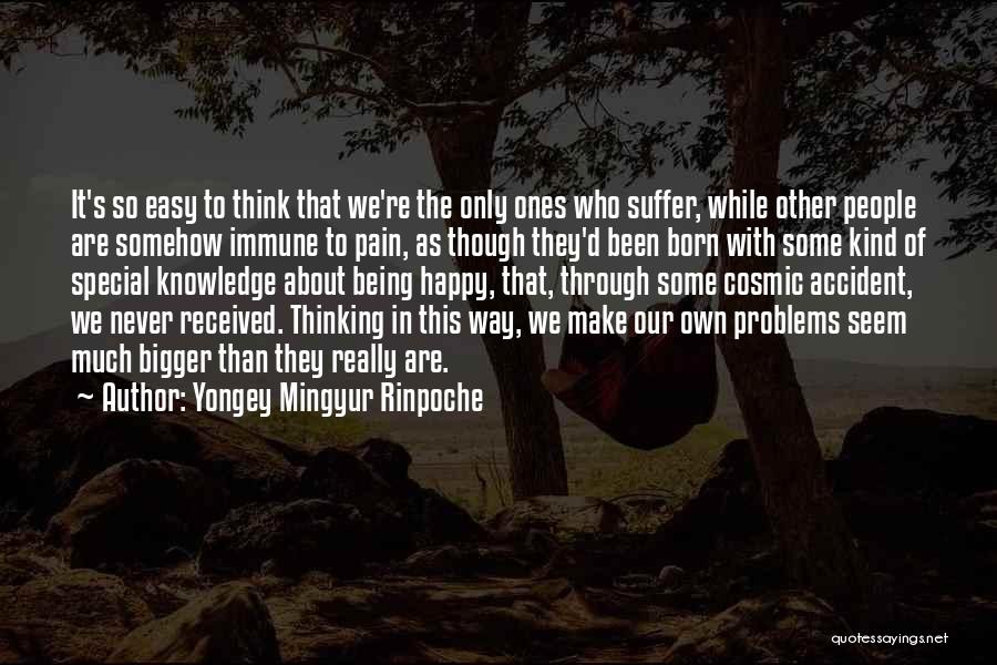 Yongey Mingyur Rinpoche Quotes 1755782