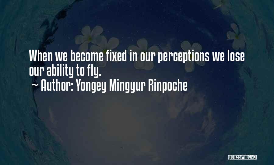 Yongey Mingyur Rinpoche Quotes 1970940