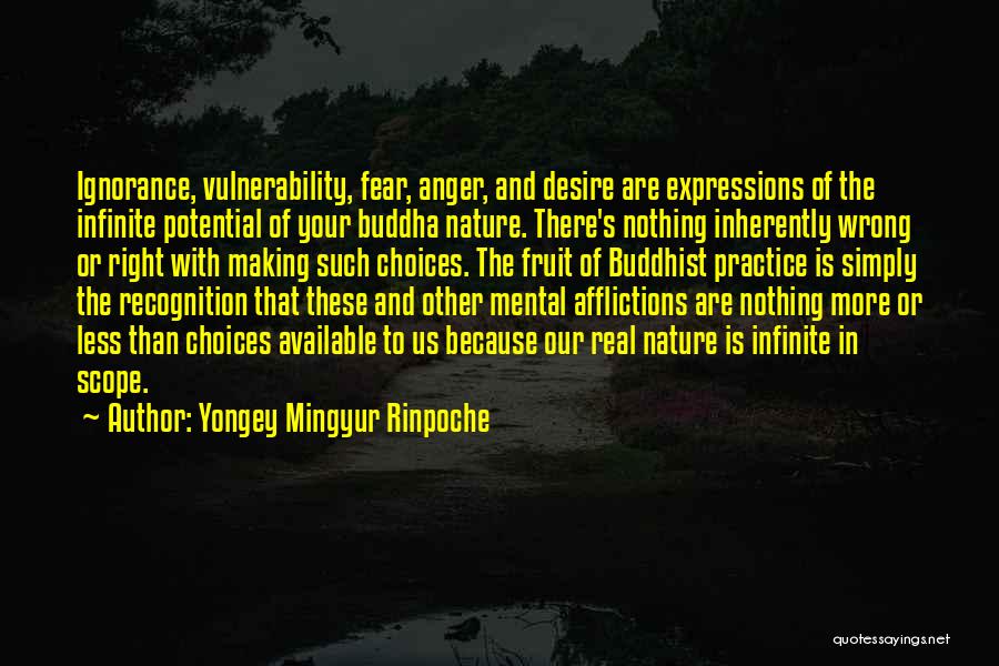 Yongey Mingyur Rinpoche Quotes 271623