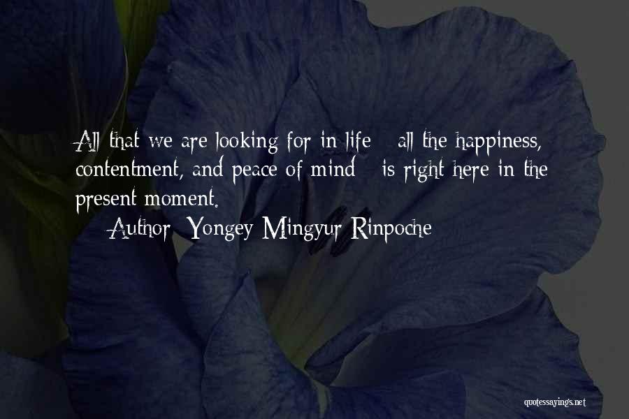 Yongey Mingyur Rinpoche Quotes 497566