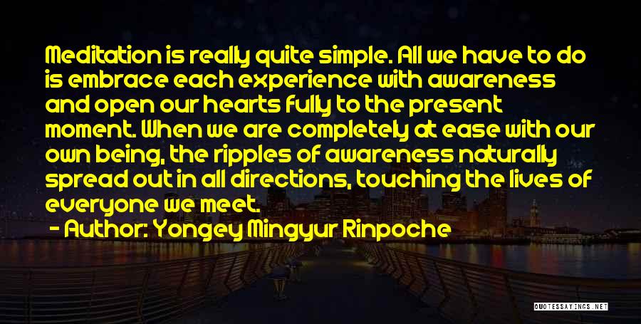 Yongey Mingyur Rinpoche Quotes 559929