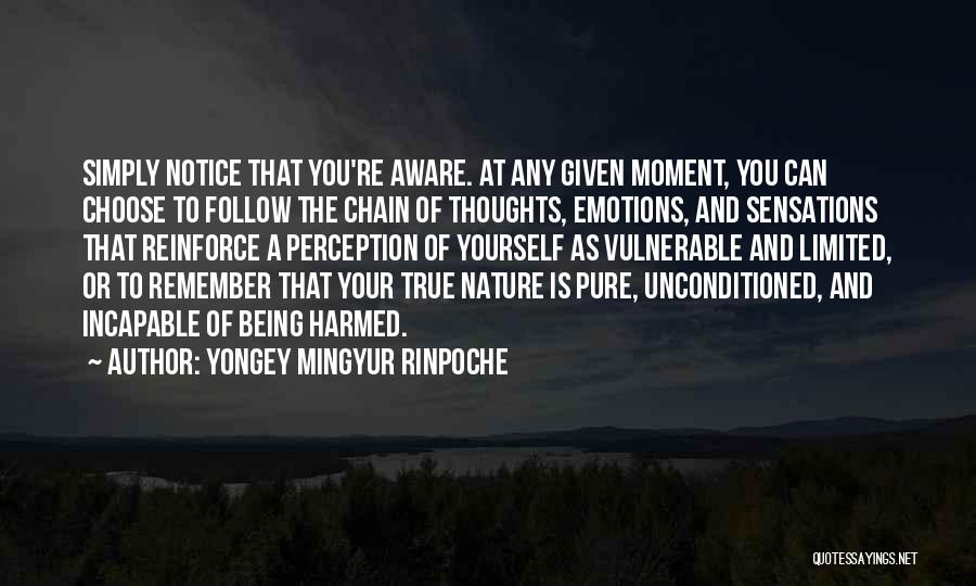Yongey Mingyur Rinpoche Quotes 712092