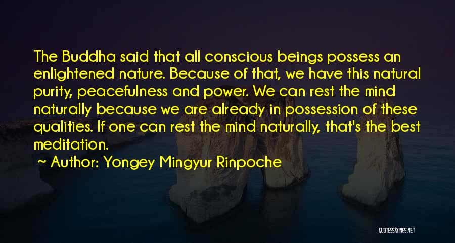 Yongey Mingyur Rinpoche Quotes 809069