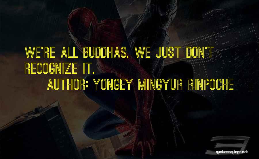 Yongey Mingyur Rinpoche Quotes 838583