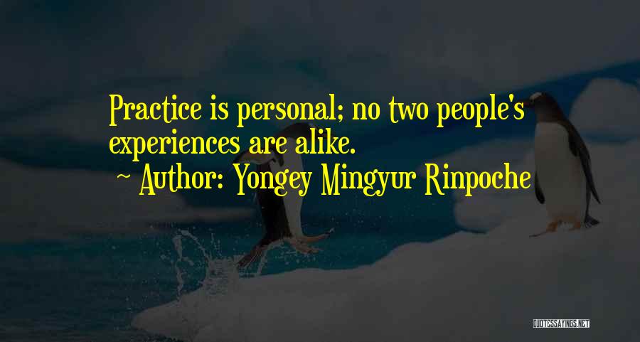 Yongey Mingyur Rinpoche Quotes 866113