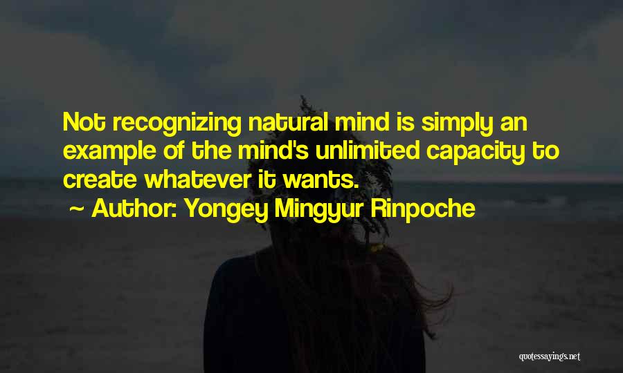 Yongey Mingyur Rinpoche Quotes 923969