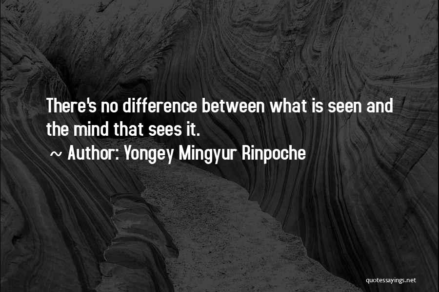 Yongey Mingyur Rinpoche Quotes 967086