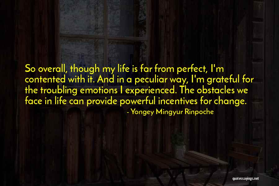 Yongey Rinpoche Quotes By Yongey Mingyur Rinpoche Yongey Rinpoche Quotes By Yongey Mingyur Rinpoche