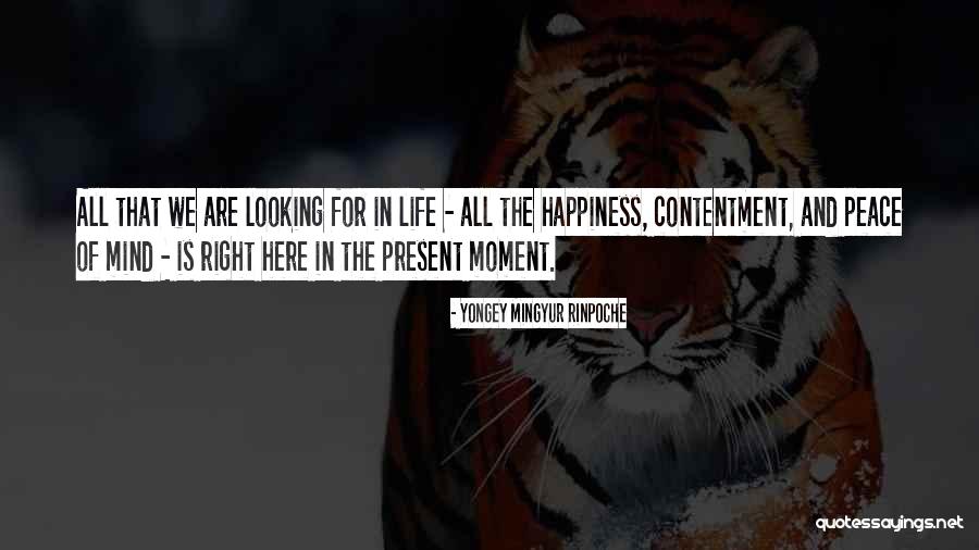 Yongey Rinpoche Quotes By Yongey Mingyur Rinpoche Yongey Rinpoche Quotes By Yongey Mingyur Rinpoche