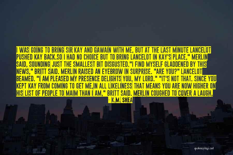 Yongqiang Chang Quotes By K.M. Shea