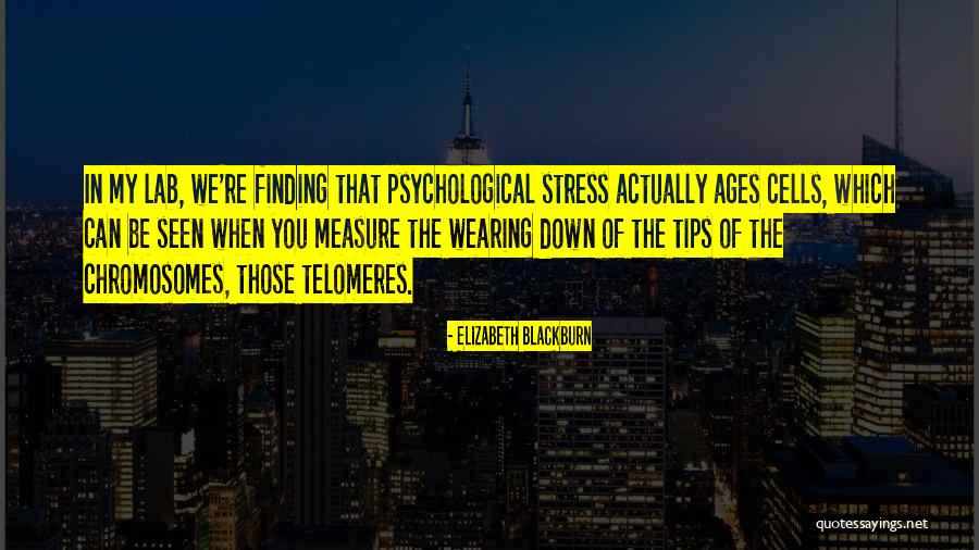 Yoosefi Quotes By Elizabeth Blackburn Yoosefi Quotes By Elizabeth Blackburn