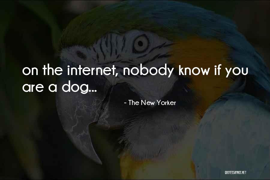 Yorker Dog Quotes By The New Yorker Yorker Dog Quotes By The New Yorker