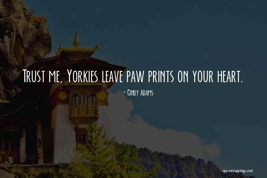 Yorkies Quotes By Cindy Adams