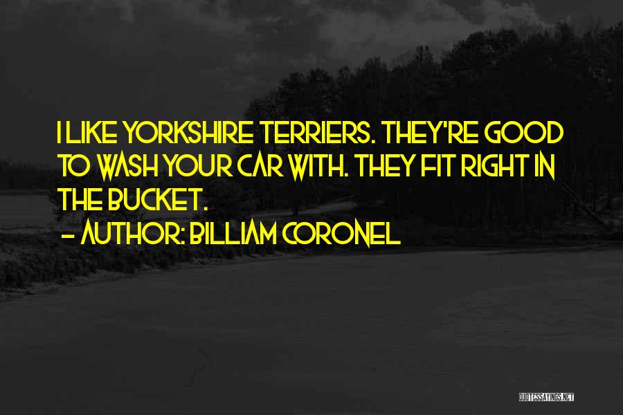 Yorkshire Terriers Quotes By Billiam Coronel