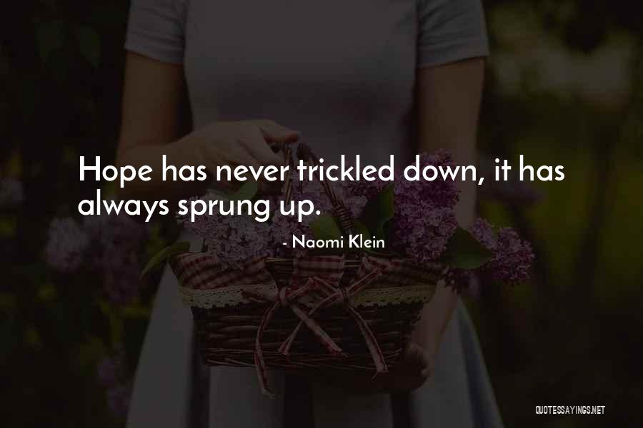 Yorkshireman Triathlon Quotes By Naomi Klein Yorkshireman Triathlon Quotes By Naomi Klein